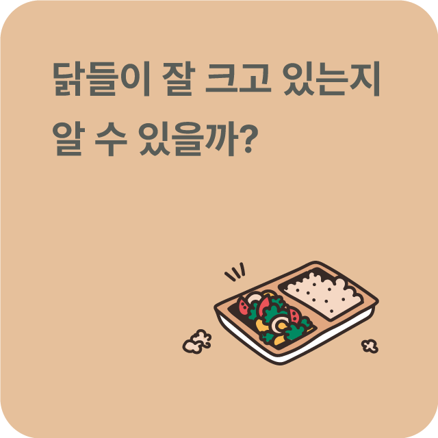 버튼_5